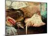 Fishstand With Ray, 1892-James Ensor-Mounted Giclee Print