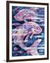 Fishstream-Sarah Porter-Framed Giclee Print