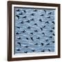 Fishtales 41-David Sheskin-Framed Giclee Print