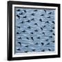 Fishtales 41-David Sheskin-Framed Giclee Print