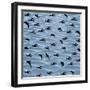 Fishtales 41-David Sheskin-Framed Giclee Print