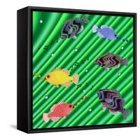 Fishtales IX-David Sheskin-Framed Stretched Canvas