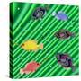 Fishtales IX-David Sheskin-Stretched Canvas