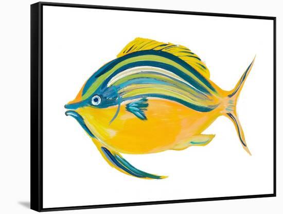 Fishy III-Julie DeRice-Framed Stretched Canvas