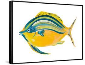 Fishy III-Julie DeRice-Framed Stretched Canvas