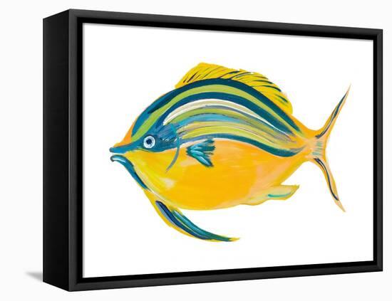 Fishy III-Julie DeRice-Framed Stretched Canvas