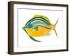 Fishy III-Julie DeRice-Framed Art Print