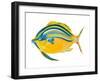 Fishy III-Julie DeRice-Framed Art Print