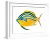 Fishy III-Julie DeRice-Framed Art Print