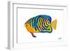 Fishy IV-Julie DeRice-Framed Premium Giclee Print