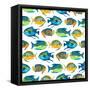 Fishy Pattern-Julie DeRice-Framed Stretched Canvas