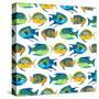 Fishy Pattern-Julie DeRice-Stretched Canvas