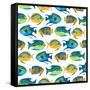 Fishy Pattern-Julie DeRice-Framed Stretched Canvas