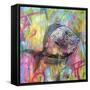 Fishy Spray-Dean Russo-Framed Stretched Canvas