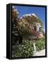 Fiskardo, Kefalonia (Cephalonia), Ionian Islands, Greece-R H Productions-Framed Stretched Canvas