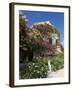 Fiskardo, Kefalonia (Cephalonia), Ionian Islands, Greece-R H Productions-Framed Photographic Print