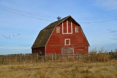 A Fence and Weeds Surround an Empty Barn-fiskness-Photographic Print