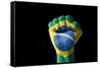 Fist Painted In Colors Of Brazil Flag-vepar5-Framed Stretched Canvas