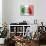 Fist With Italian Flag-macky_ch-Stretched Canvas displayed on a wall