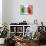 Fist With Italian Flag-macky_ch-Mounted Art Print displayed on a wall