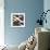 Fistral (truffle)-Denise Duplock-Giclee Print displayed on a wall