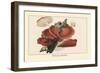 Fistulina Hepatica-William Hamilton Gibson-Framed Art Print