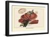 Fistulina Hepatica-William Hamilton Gibson-Framed Art Print