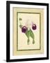 Fitch Orchid I-J. Nugent Fitch-Framed Art Print