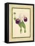 Fitch Orchid I-J. Nugent Fitch-Framed Stretched Canvas