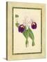 Fitch Orchid I-J. Nugent Fitch-Stretched Canvas