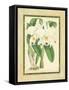 Fitch Orchid III-J. Nugent Fitch-Framed Stretched Canvas