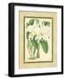 Fitch Orchid III-J. Nugent Fitch-Framed Art Print