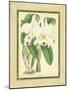 Fitch Orchid III-J. Nugent Fitch-Mounted Art Print