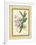 Fitch Orchid V-J. Nugent Fitch-Framed Art Print