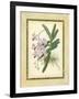 Fitch Orchid V-J. Nugent Fitch-Framed Art Print