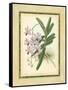 Fitch Orchid V-J. Nugent Fitch-Framed Stretched Canvas