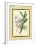 Fitch Orchid V-J. Nugent Fitch-Framed Art Print