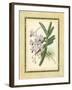 Fitch Orchid V-J. Nugent Fitch-Framed Art Print
