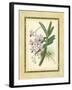 Fitch Orchid V-J. Nugent Fitch-Framed Art Print