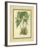 Fitch Orchid VI-J. Nugent Fitch-Framed Art Print