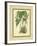 Fitch Orchid VI-J. Nugent Fitch-Framed Art Print