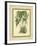 Fitch Orchid VI-J. Nugent Fitch-Framed Art Print