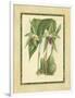 Fitch Orchid VI-J. Nugent Fitch-Framed Art Print