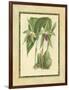 Fitch Orchid VI-J. Nugent Fitch-Framed Art Print