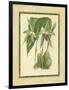 Fitch Orchid VI-J. Nugent Fitch-Framed Art Print