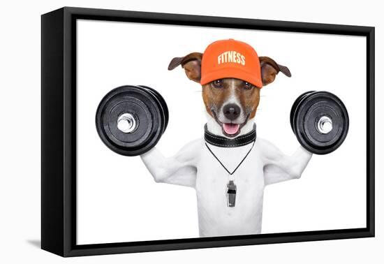 Fitness Dog-Javier Brosch-Framed Stretched Canvas