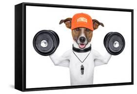 Fitness Dog-Javier Brosch-Framed Stretched Canvas