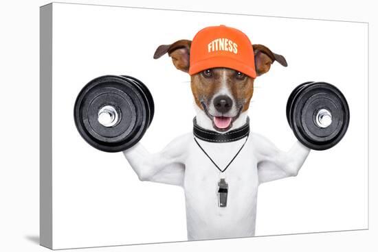 Fitness Dog-Javier Brosch-Stretched Canvas