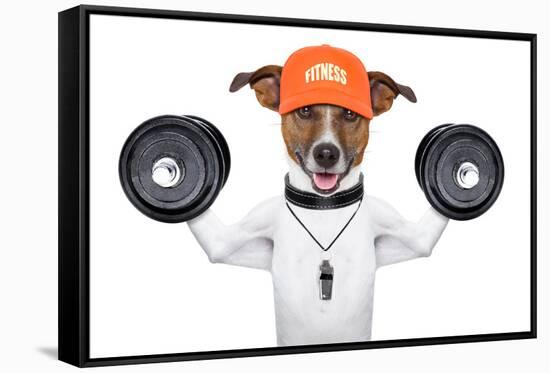 Fitness Dog-Javier Brosch-Framed Stretched Canvas