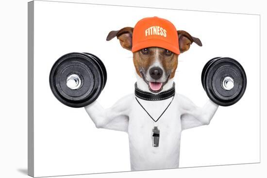 Fitness Dog-Javier Brosch-Stretched Canvas